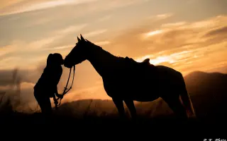 Knížka, která rozzáří dětské oči