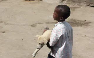 Kastrační mise v Tanzanii / Spay & Neuter Campaign in Tanzania