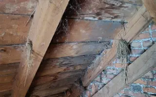Střecha pro Boršovskou sokolovnu