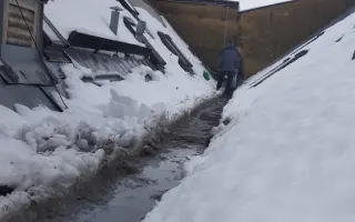 Zachraňme střechu Nadace Josefa Plívy
