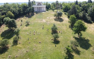 Obnova louky a pláže pod Apollonovým chrámem u Lednice na Moravě, anglický park