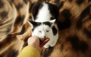 Šmudlina se rozšiřuje - pátá etapa