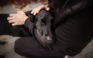 Šmudlina se rozšiřuje - pátá etapa