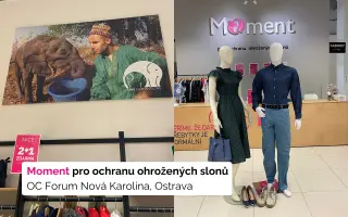 Daruj s námi naději – pro mámy samoživitelky a věci, co zaslouží druhou šanci