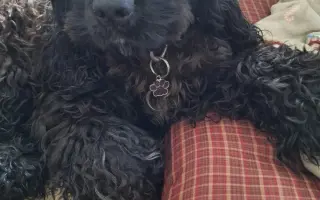 Pomohli jste Medvídkovi Pú k lepšímu zraku