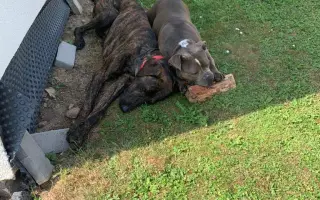 Pomozme Ele opět poznávat svět