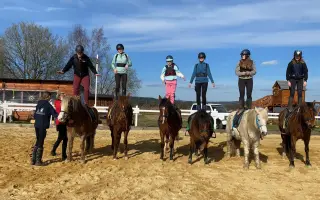 Pořízení hiporehabilitačního koně