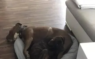 Pomozme Ele opět poznávat svět