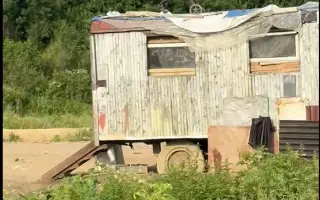 Záchrana pro psy ze slovenských osad 🩷