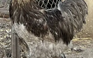 Pomozme společně obnovit zničenou farmu a živobytí farmáře Vládi!