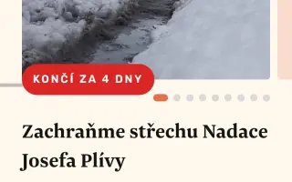 Zachraňme střechu Nadace Josefa Plívy