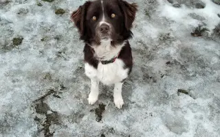 Pomozte Lokimu žít plnohodnotný život