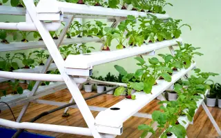 Podpořte projekt "Z vody roste jídlo"