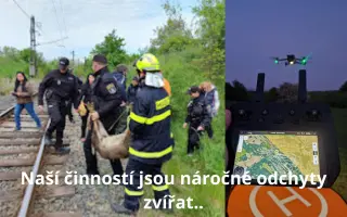 BADY: Bazén pro jelena