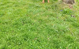 Pomoc pro Kyru v boji s nádorovým onemocněním