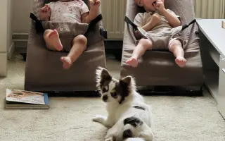 Pomohli jste Šimonkovi v boji s překážkami