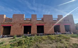 Jedna vlaštovka jaro nedělá, ale přináší naději - ŠANCE PRO MLADÉ PARKINSONIKY