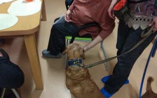 Canisterapie CANTES v krajích ČR jako sociální rehabilitace