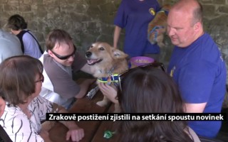 Canisterapie CANTES v krajích ČR jako sociální rehabilitace