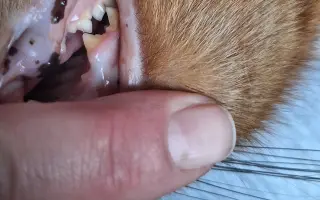 9 nalezených Lásek