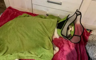 Pomozme Jackovi zase běhat bez bolesti - komplikace po operaci