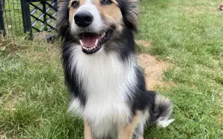 Pomôžme Delonke bojovať ďalej