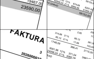 Děkujeme, že jste pomohli kočičkám v nouzi