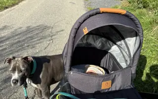 Amin by si přál zase běhat s kamarády