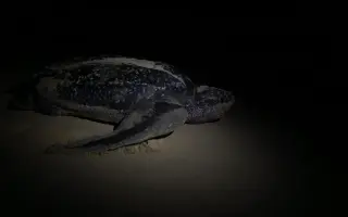 Moře nás spojuje - přidej se k jeho ochraně