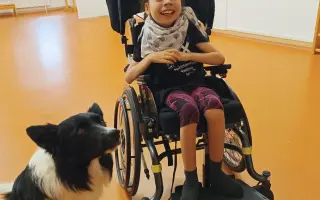 Pomohli jste Stelince s neurorehabilitací a terapiemi