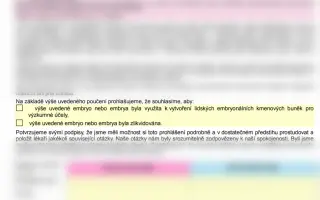 Tatínek se už nevrátil domů – pomozme Viki a její mamince postavit se znovu na nohy