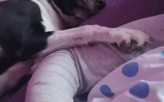 Zázrak pro Enie – prosím, nenechte mě to vzdát