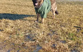 Léčba, která nekončí - Fůrie