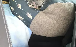 Pomozme Adonisovi znovu dýchat