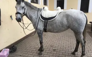 Když se štěstí obrátí zády: Pomoc pro Chérie a Areska