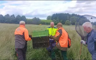 Pomozme společně srnčatům zvládnout období senoseče - Vysočina