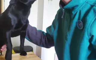 Pomozte mamince nevidomého Matouše s PAS vybudovat vlastní domov