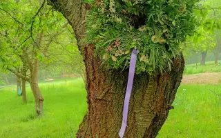 Podpořte Pádolí zahradu