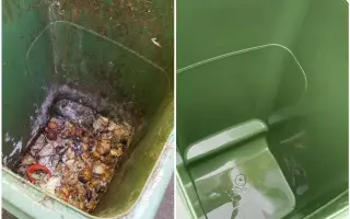 První král čistých popelnic hledá své rytíře