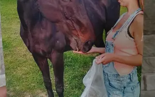 Domov po požáru - pomoc Veronice.