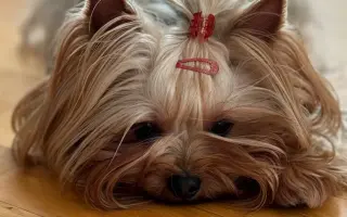 Pomozte Maxíkovi v boji s lymfomem