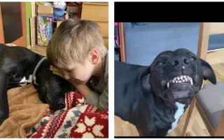 Nikita chce ještě zůstat s námi