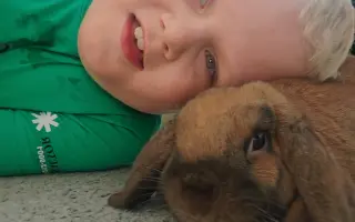 Delfíni jako pomoc pro bojovníka Dominika