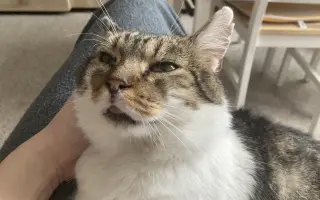Život bez bolesti pro Matyho