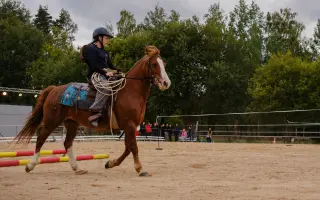 Pomozte nám postavit trojbox pro ustájení hiporehabilitačních koní DORADO z. s.