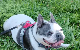 Zachráňte Marilyn bojující s rakovinou