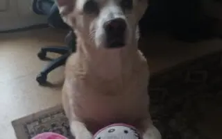 Boj o zdraví pro Ťapinku: Pomozte nám zvládnout náročnou léčbu