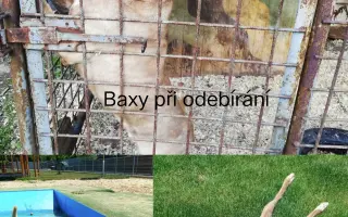 Pomozte zachránit Psí domov spolku Zastavme Utrpení.