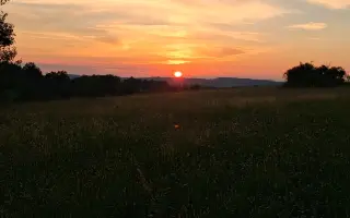 Zachraňme srnčata na Třešťsku