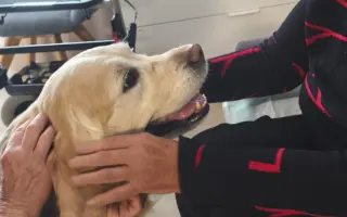 Pět smyslů pro Pomněnku